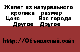 Жилет из натурального кролика,44размер › Цена ­ 500 - Все города Другое » Другое   